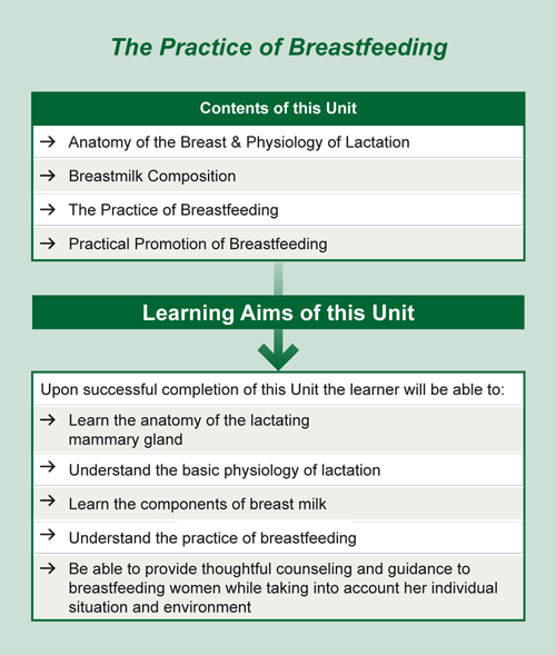 Overview Unit 1