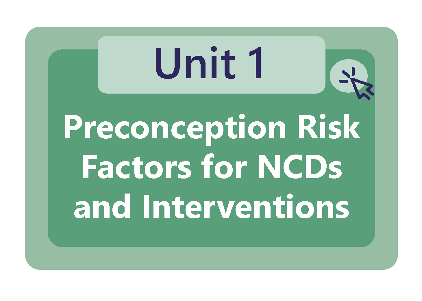 Preconception risk factors for NCDs and interventions