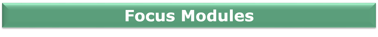 Focus Modules
