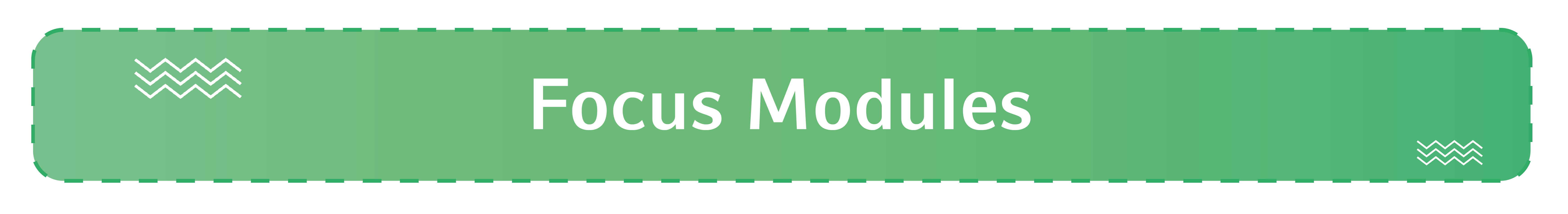 Focus Modules