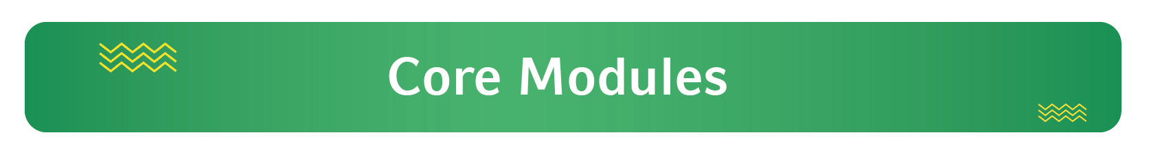Focus Modules