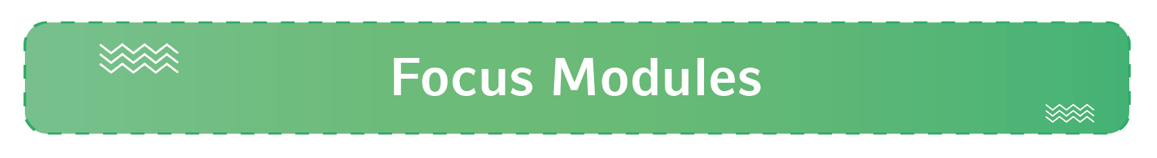 focus module